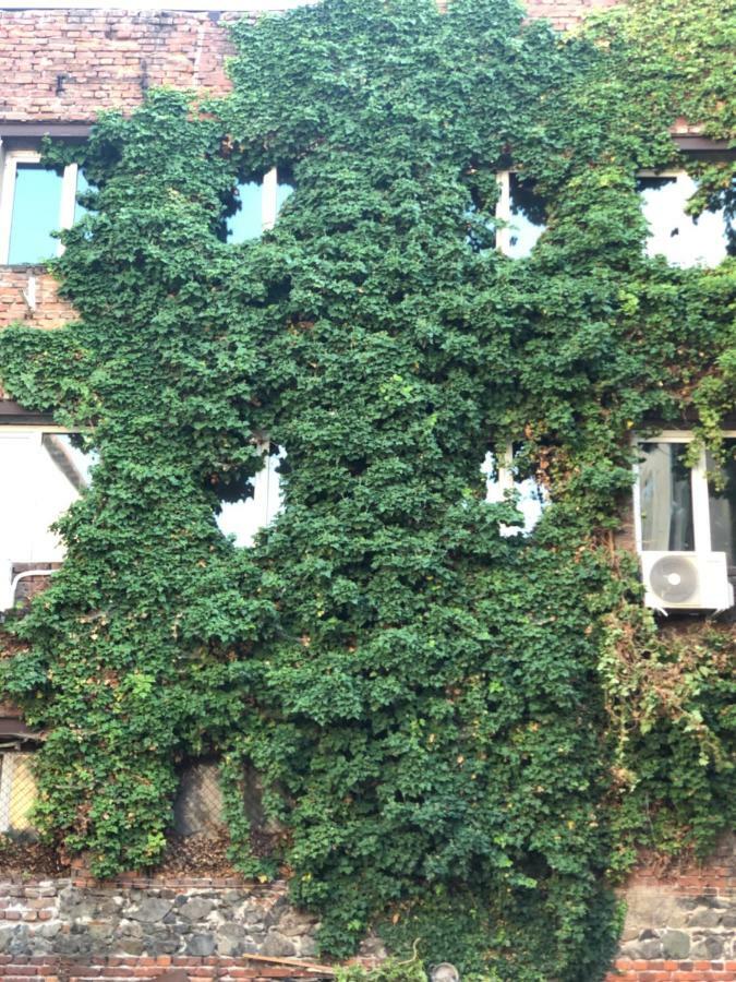 Center House Apartman Szófia Kültér fotó